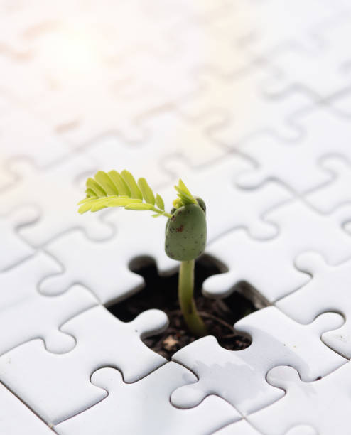 istock Young plant coming through a blank of white jigsaw puzzle 2165464880