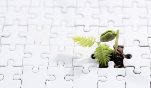 istock Young plant coming through a blank of white jigsaw puzzle 2165464885