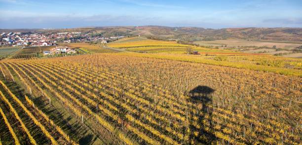 istock Velke Pavlovice among vineyards panoramic view 2165465865
