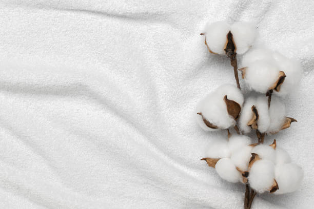 istock Soft Cotton Bolls on White Fabric Background - Natural and Organic Textile 2165467507