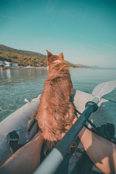 istock Young woman relaxes in inflatable raft with dog 2165468928