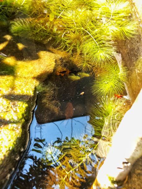 istock aquaspace seen from above 2165469599