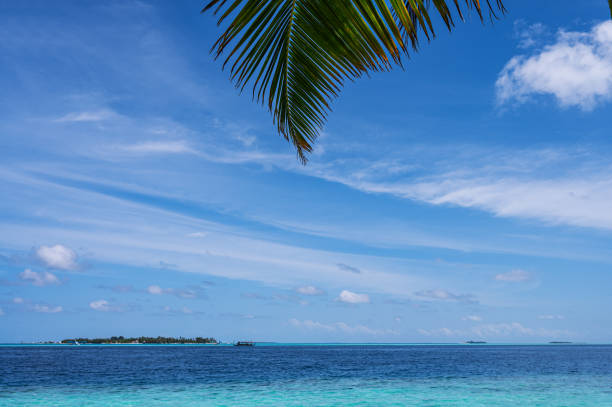 Wide-angle side view from the bottom of the volleyball court: coral sand on the ground, multiple palm trees and other plants around, a warm sunny day on Maldives resort