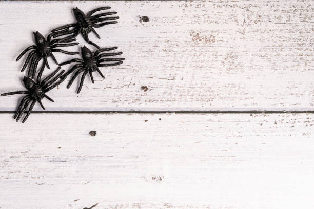 istock Wooden background with spiders, halloween background, spiders on background 2165473605