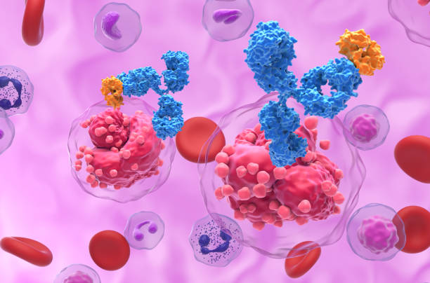 Monoclonal antibody therapy in Acute Lymphocytic Leukemia (ALL) - closeup view 3d illustration stock photo