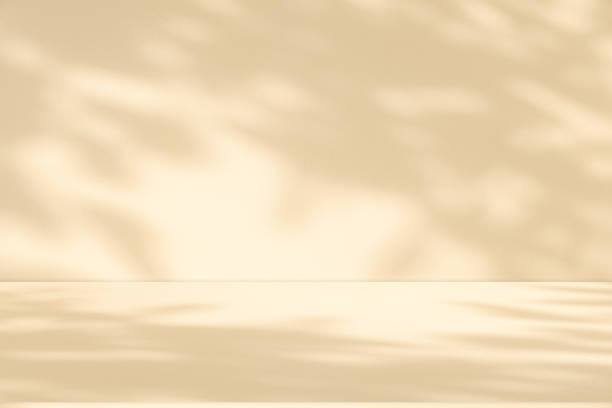 istock Studio style background wall decoration presentation uses white and beige tones. with shadows cast from a nearby window, concept creating a decorative 2165475142