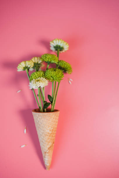 istock Waffle cone with bouquet of beautiful green Chrysanthemums 2165475552