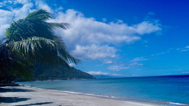 istock Tropical paradise island. 2165475641