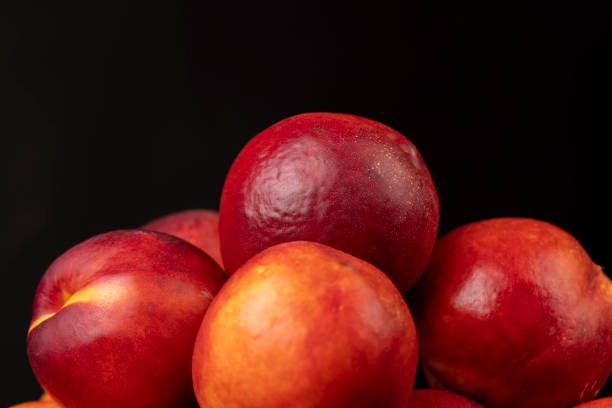 a small harvest of ripe washed nectarines
