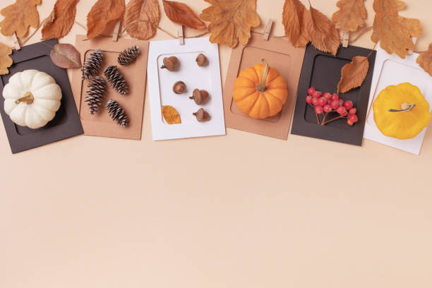 istock Autumn or fall concept. Pumpkins, berries, acorns and cones on beige table top view. Flat lay. 2165477906