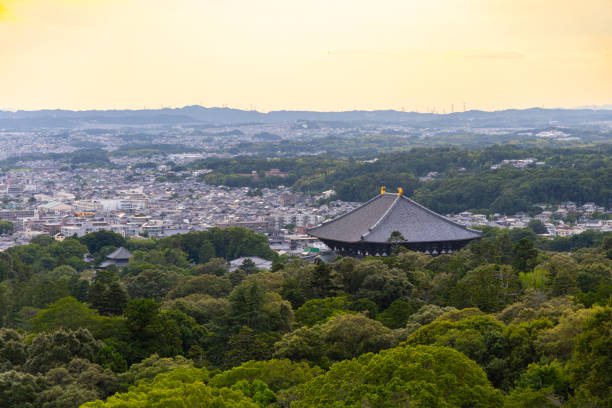 istock Wakakusayama Hill, Nara panoramic view 2165482838