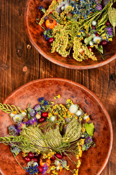 Medicinal herbs and plants in a stylish clay bowl on a wooden background.