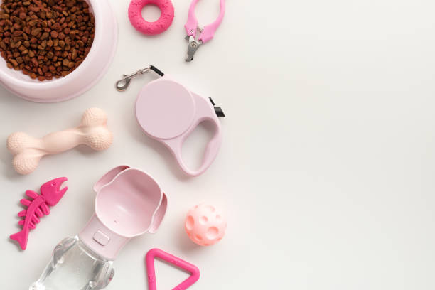 istock Essential pet care accessories on light backdrop. Perfect for articles on pets grooming and feeding. Includes food bowl, chew toy, grooming scissors, collar, brushes, and rubber ball 2165486590