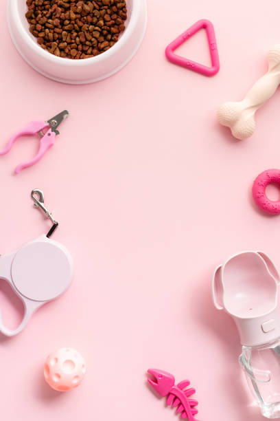 istock Explore premium pet accessories with this vibrant image showcasing essential items for your furry friend’s care and entertainment on a pink backdrop 2165486624