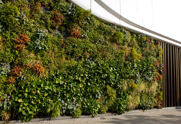 istock Green Office Building on a sunny day 2165493824