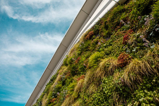 istock Green Office Building on a sunny day 2165493832
