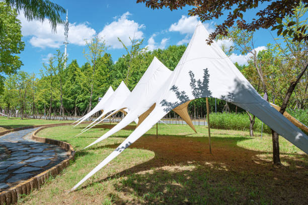 istock Tents on camping grassland in the park 2165494809