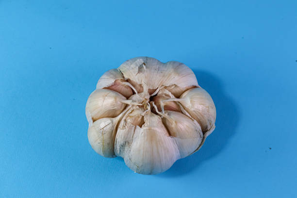 istock close up of fresh garlic bulb 2165494945