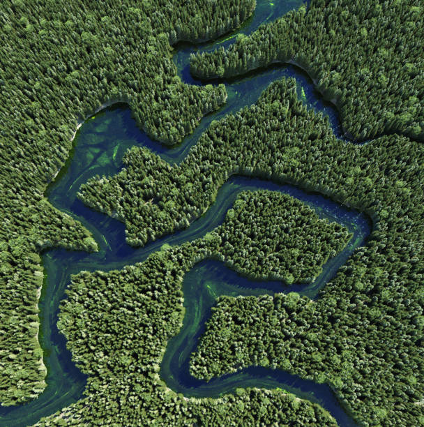 istock Aerial view of river winding through dense green forest. 2165497787