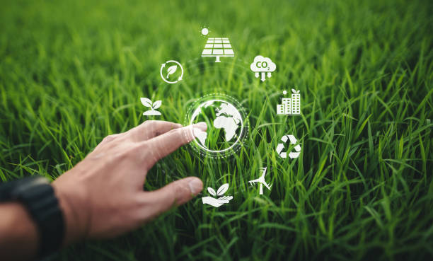 istock ESG environment concept,Hand touching globe icon in natural grass background, energy saving and nature conservation concept. 2165498065