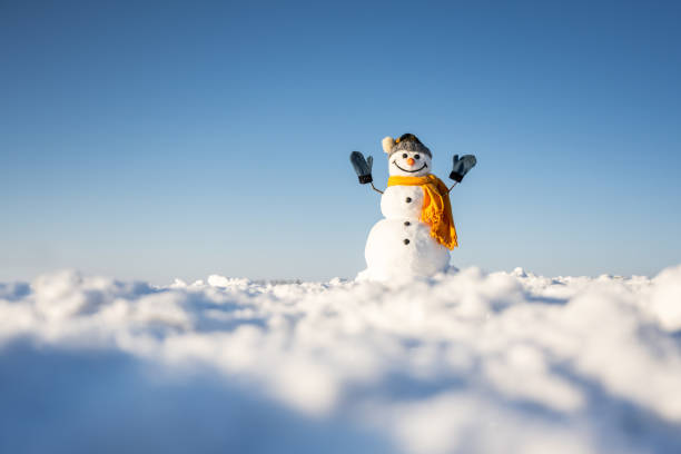 istock Funny snowman in knitted hat 2165500030