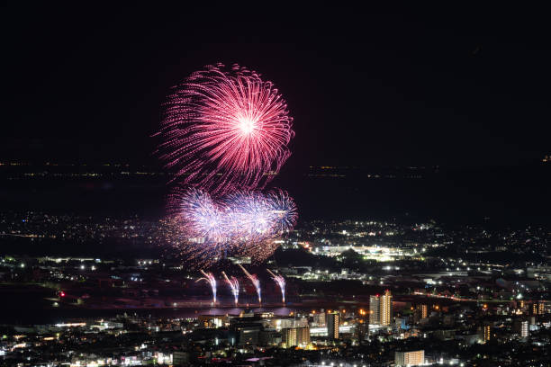 istock Beautiful fireworks shining in the summer night sky 2165504172