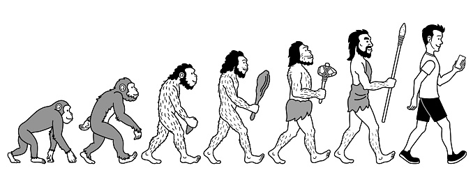The Process Illustration Of Human Evolution Stock Illustration ...