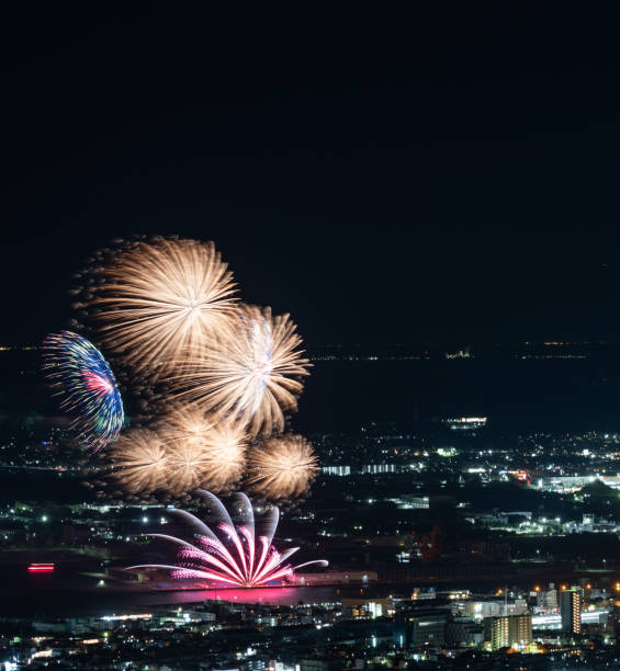 istock Beautiful fireworks shining in the summer night sky 2165506218