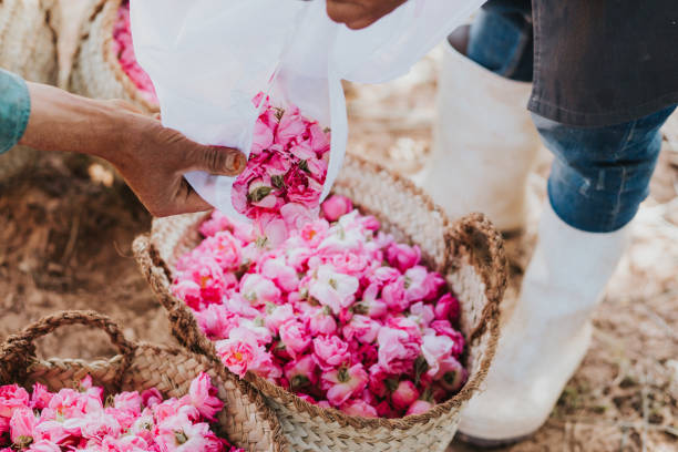 istock Kelaa mgouna Morocco 2165511009