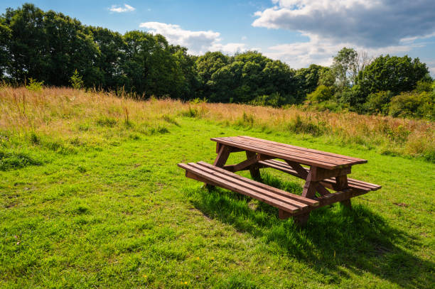 istock Picnic Area in Plessey Woods Meadows 2165512037