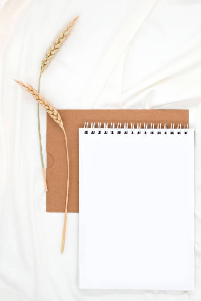 istock vertical background, blank sheet of notepad with copy space, craft photo frame and beige spikelet of wheat on delicate white silk texture, top view 2165516766