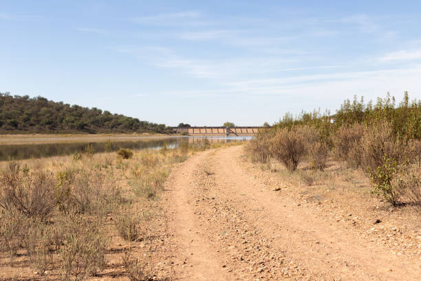 A dirt road runs through a dry, arid landscape. There are bushes, a swamp or river and a sluice gate in the background. The landscape is quiet and peaceful, with no signs of human activity.