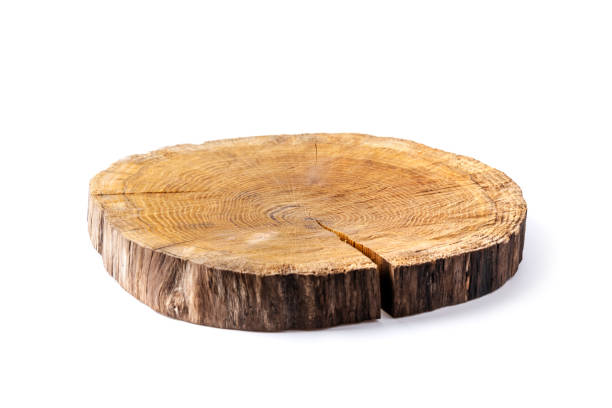 istock Wooden plate carved from tree trunk 2165523336