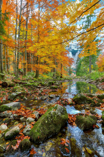 Captivating autumn scene near Hinterer Langbathsee lake.