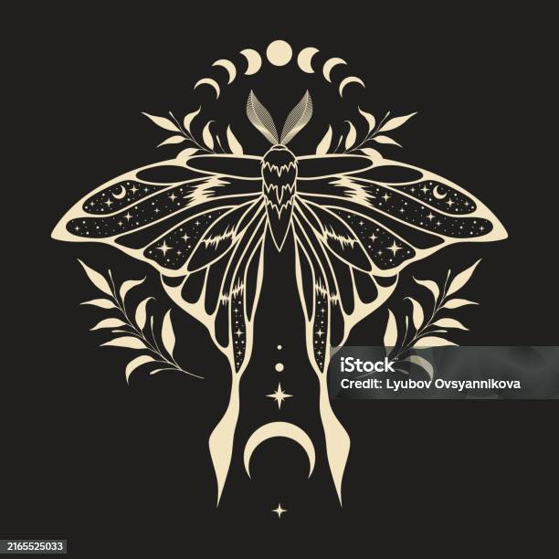 Moth Guide Vector Mystic Moth Vector Illustration Stock Illustration - Download Image Now ...