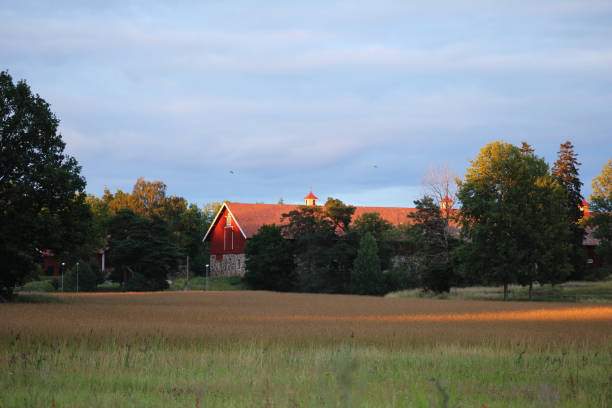 Red Swedish house surrounded by trees. In front of it a large meadow with green grass. Landscape from Scandinavia