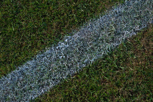 istock white line on the football field 2165531227