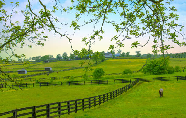 Horse Country-Lexington Kentucky