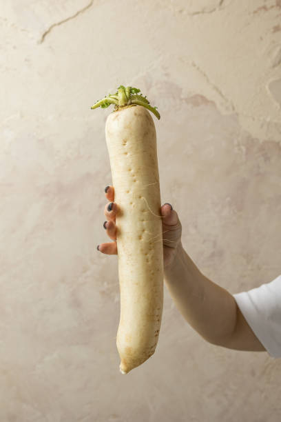istock Female hand holding fresh white radish on light background, closeup 2165531521