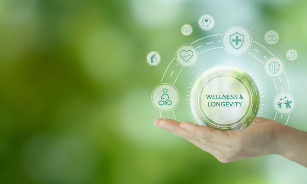 istock Wellness and longevity concept. A hand holds a digital representation of wellness and longevity icons, symbolizing the integration of health, nature, and long-term well-being. 2165536748