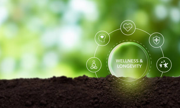 istock Wellness and longevity concept on green background, symbolizing the connection between health, nature, and long-term well-being. Promoting health and long-term well-being. 2165536751