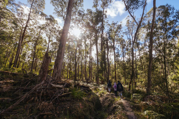 istock Lerderderg Heritage River Walk in Melbourne Australia 2165537491