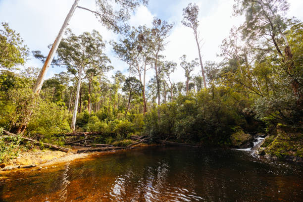 istock Lerderderg Heritage River Walk in Melbourne Australia 2165537518