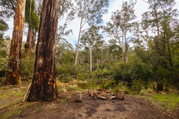 istock Lerderderg Heritage River Walk in Melbourne Australia 2165537519