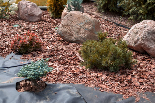 istock ground covered with chips and geotextile 2165542759