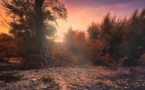 breathtaking sunset