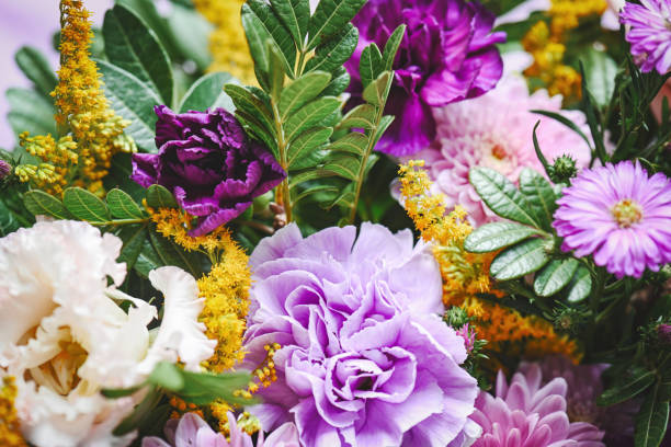 bouquet of beautiful flowers