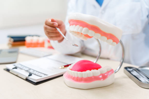 istock A dentist works at a desk with a tooth model, demonstrating dental care techniques and treatments for maintaining oral health and hygiene in a clinical setting. 2165545475