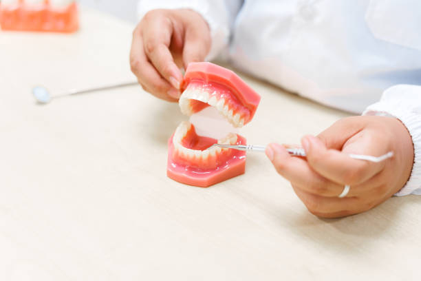 istock A dentist works at a desk with a tooth model, demonstrating dental care techniques and treatments for maintaining oral health and hygiene in a clinical setting. 2165545485