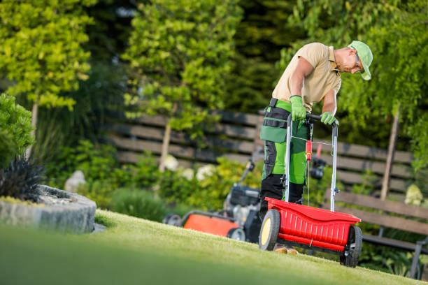 istock Man Spreading Fertilizer on Green Lawn 2165547096